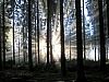 morgenspaziergang 1 - (c) e rockstroh.jpg
